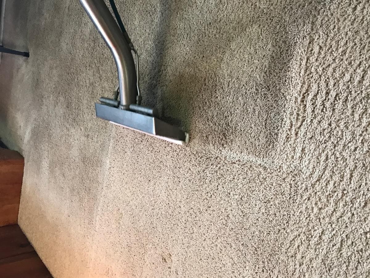 Truck-mounted cleaning wand part-way through a pass on a beige carpet, with the cleaned strip noticeably lighter than the soiled carpet next to it